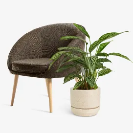 Home & Garden